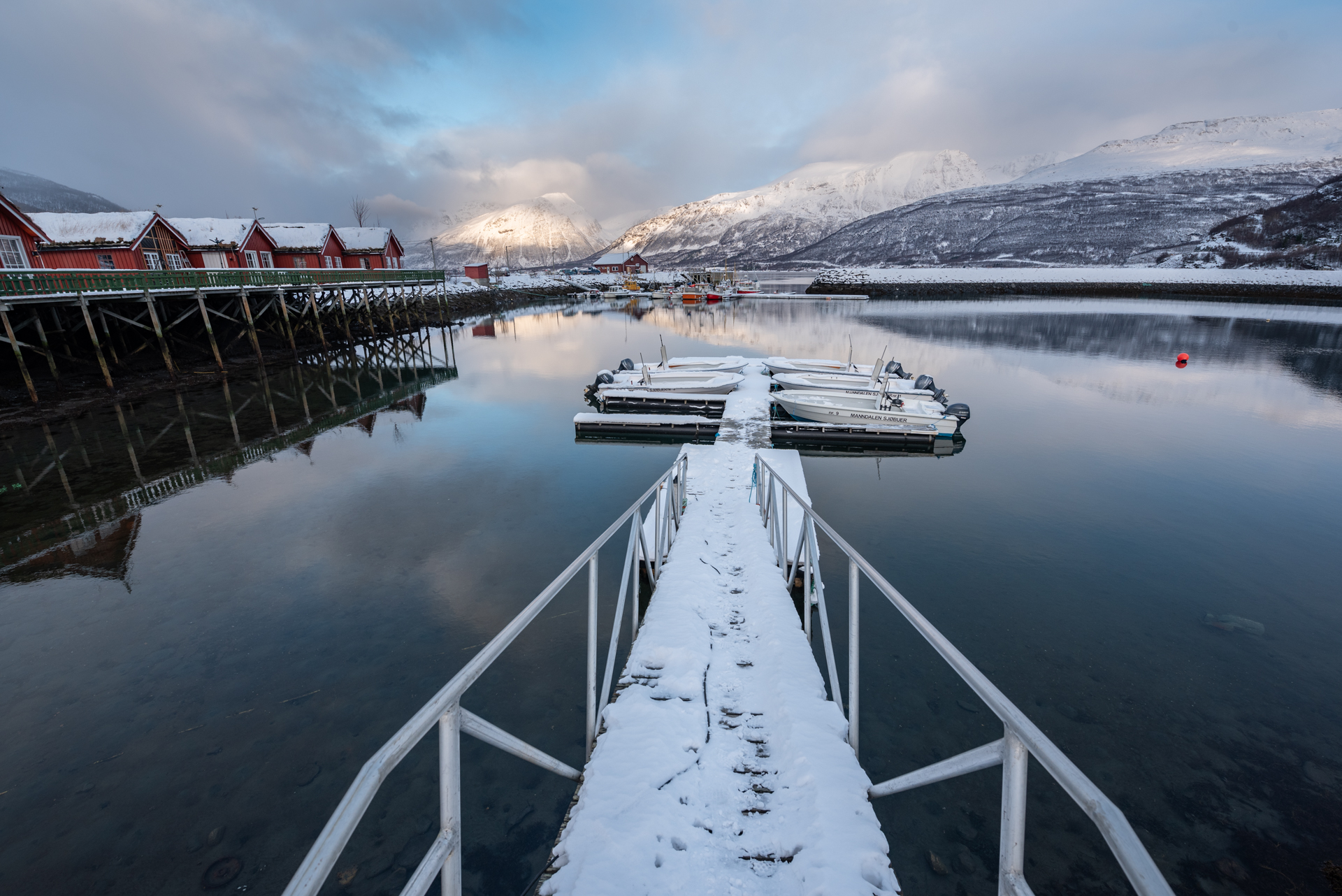 Silver Viking - Bilde 6