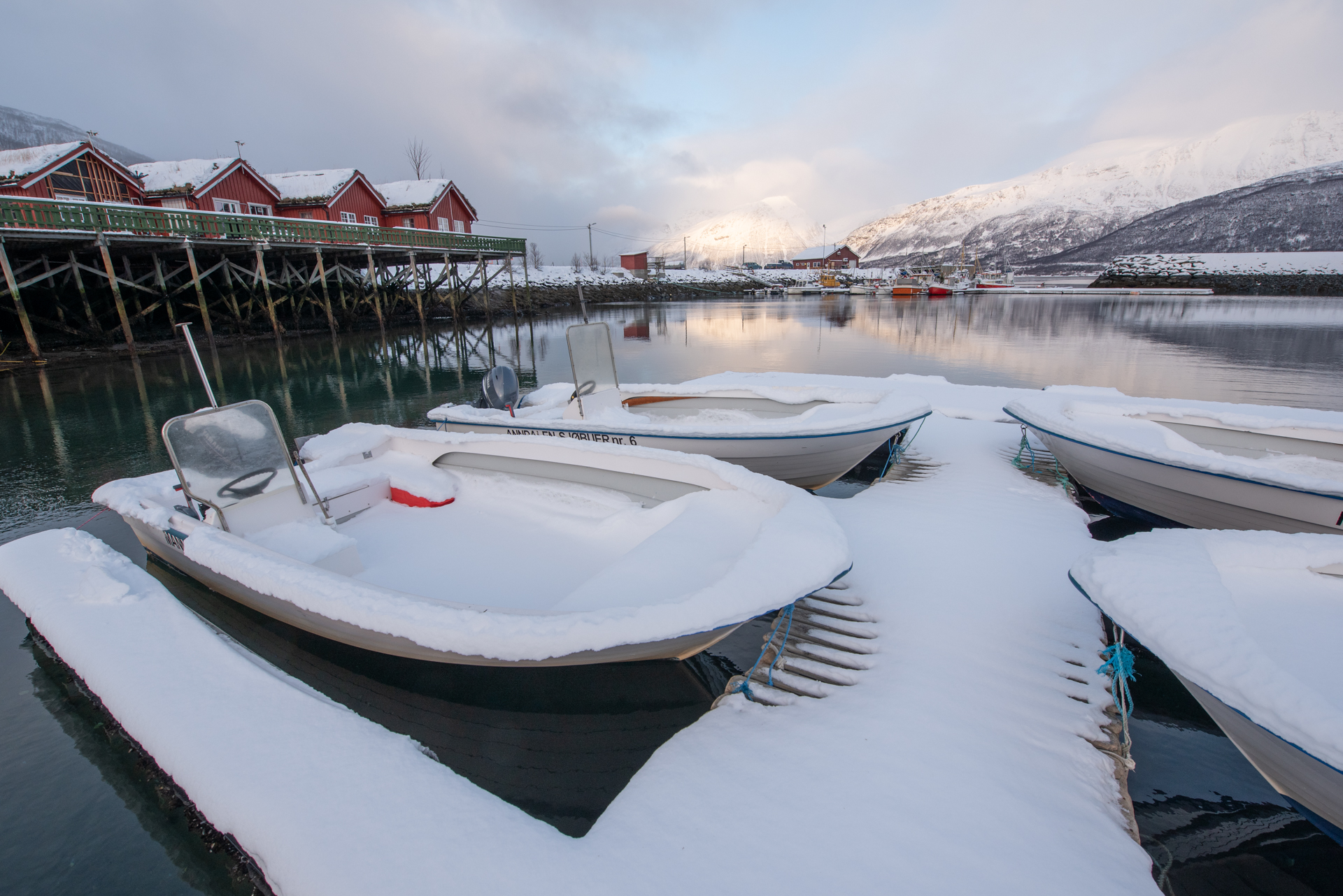 Silver Viking - Bilde 11