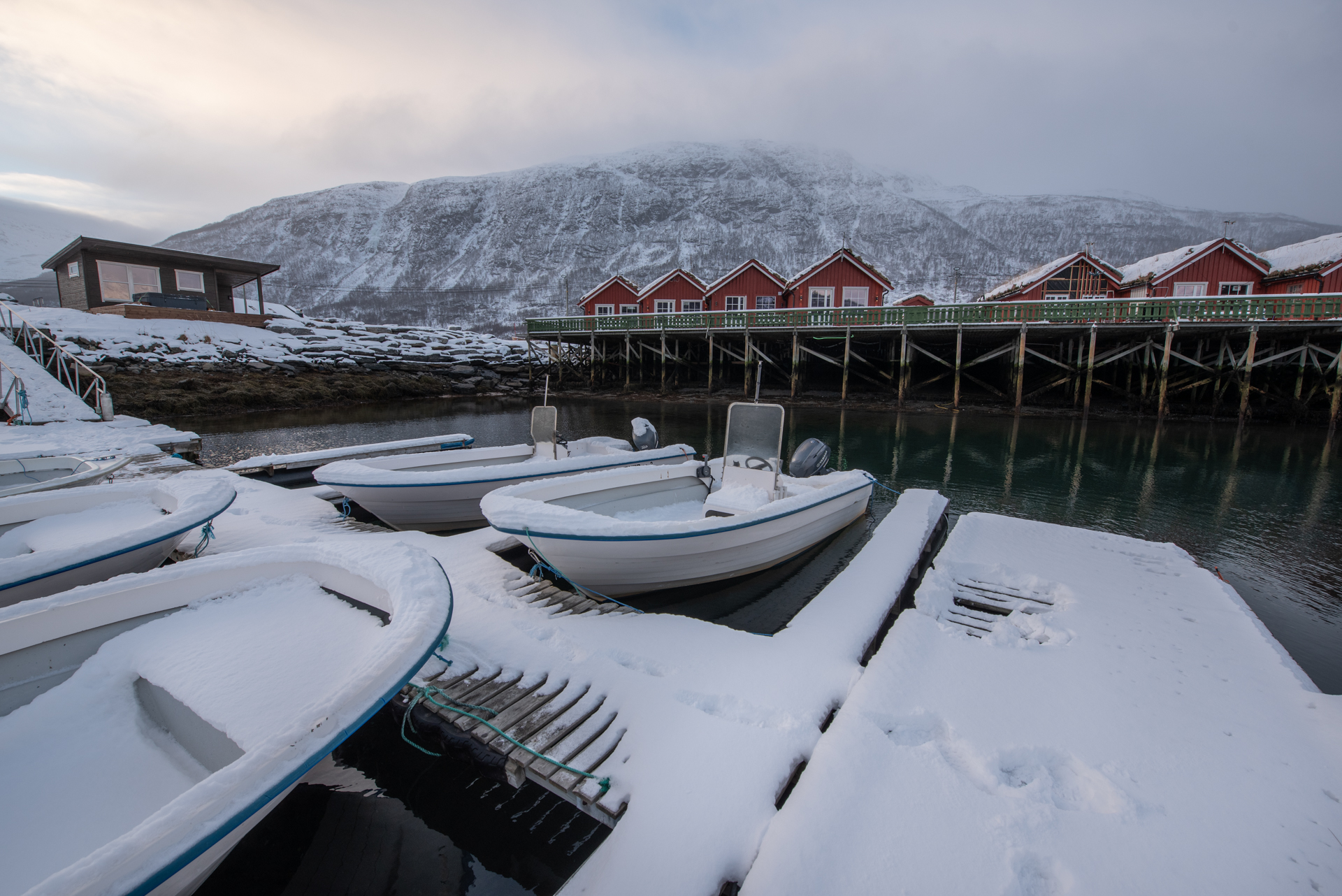 Silver Viking - Bilde 10