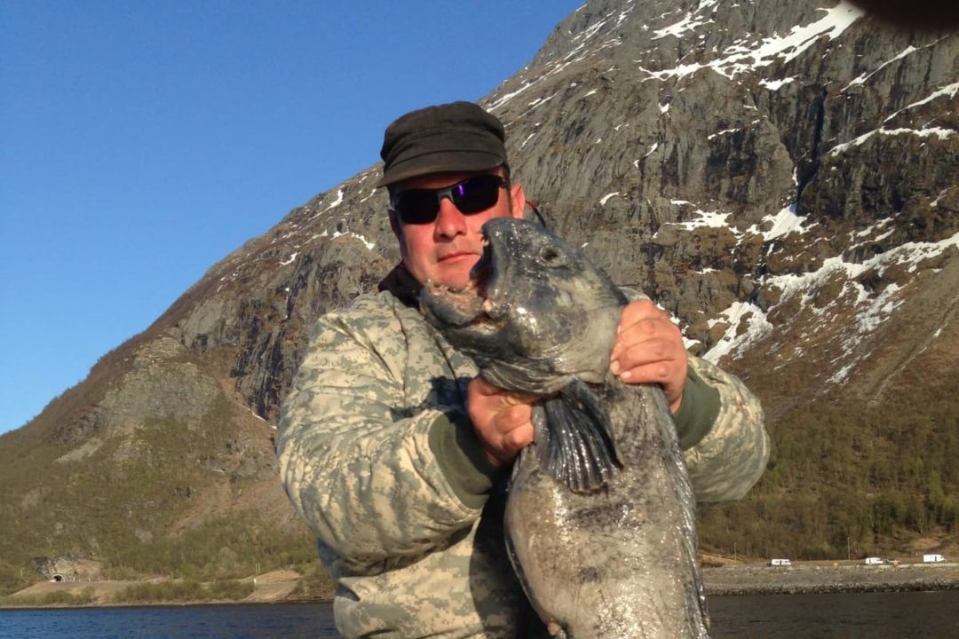 Silver Viking - Bilde 13