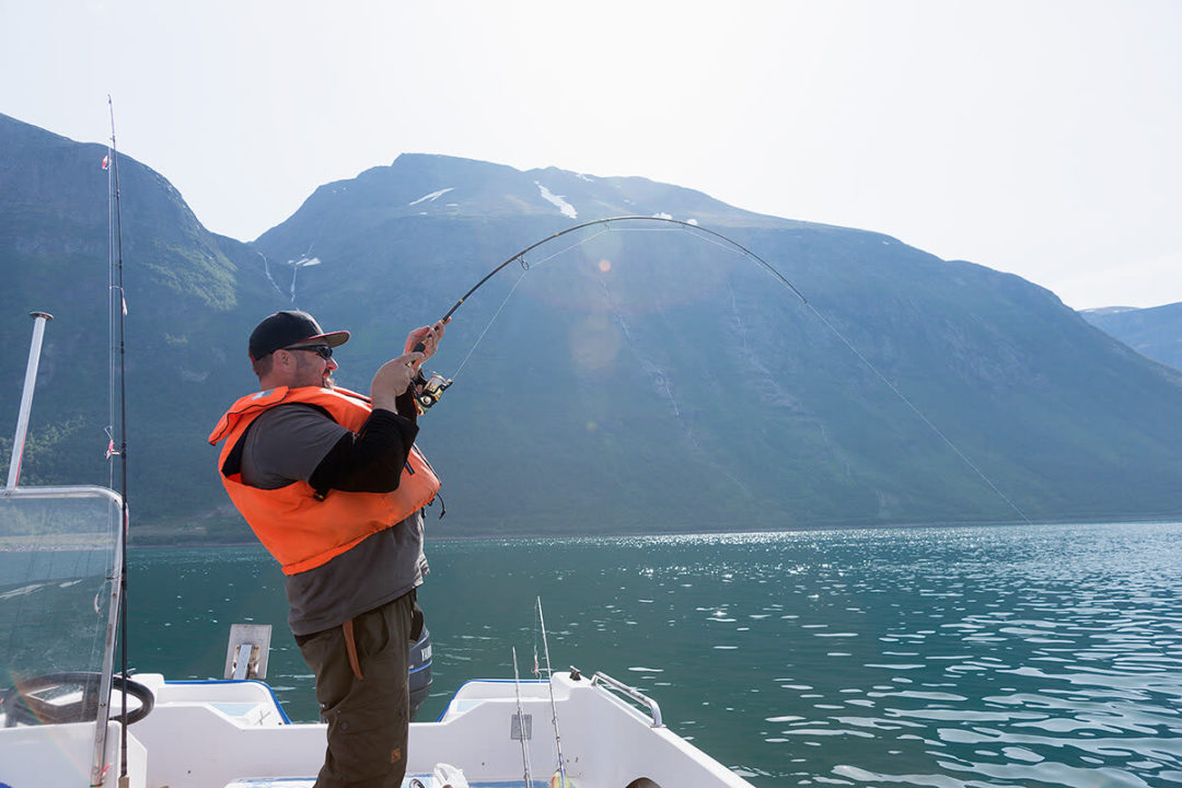 Silver Viking - Bilde 14