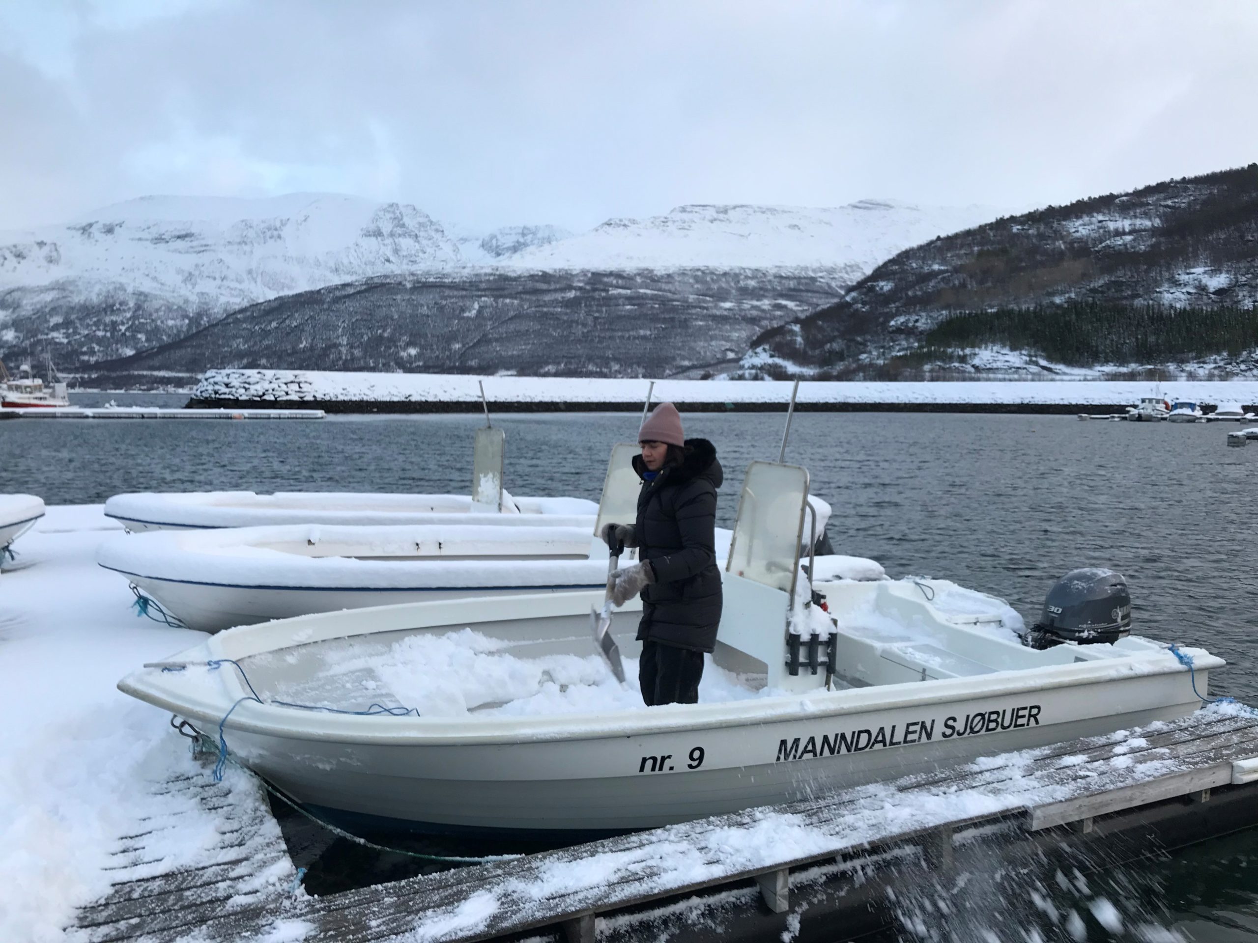 Silver Viking - Bilde 8