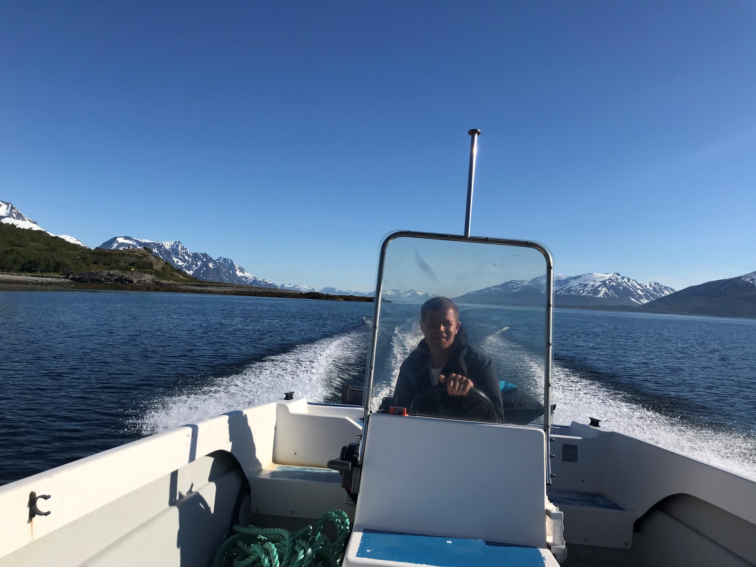 Silver Viking - Bilde 7