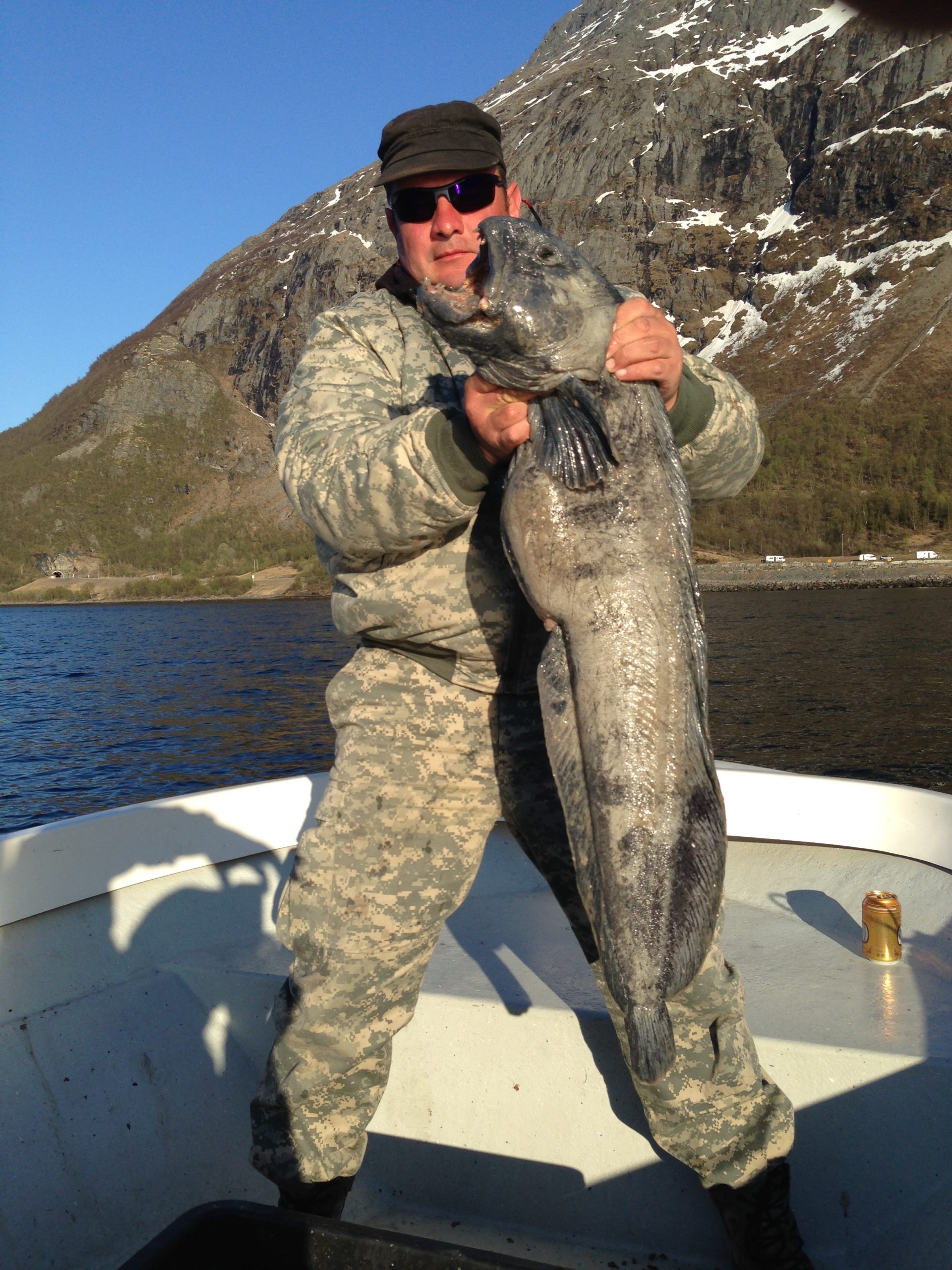 Silver Viking - Bilde 12