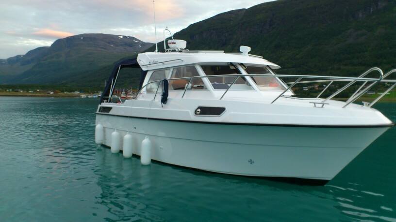 Silver Viking - Bilde 4