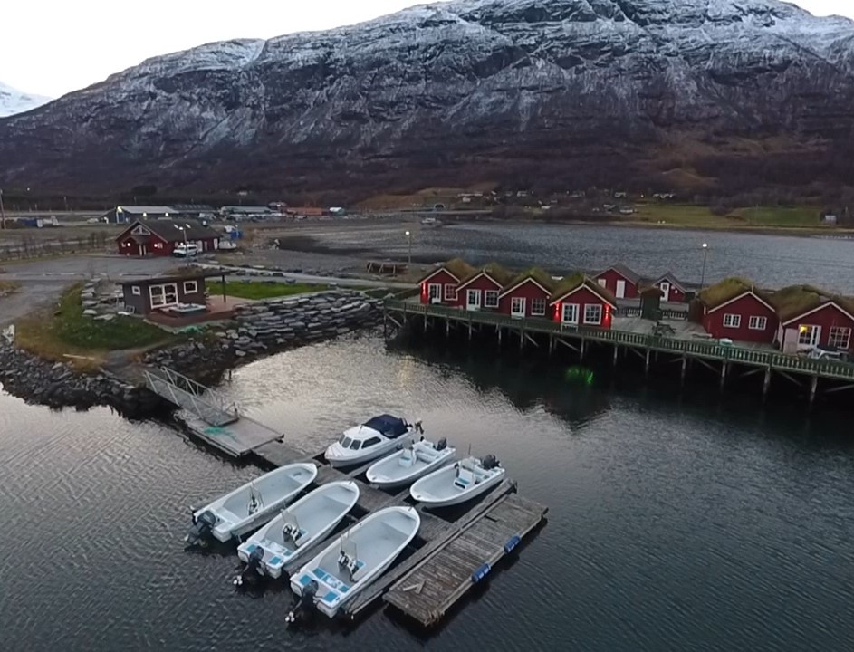 Silver Viking - Bilde 2