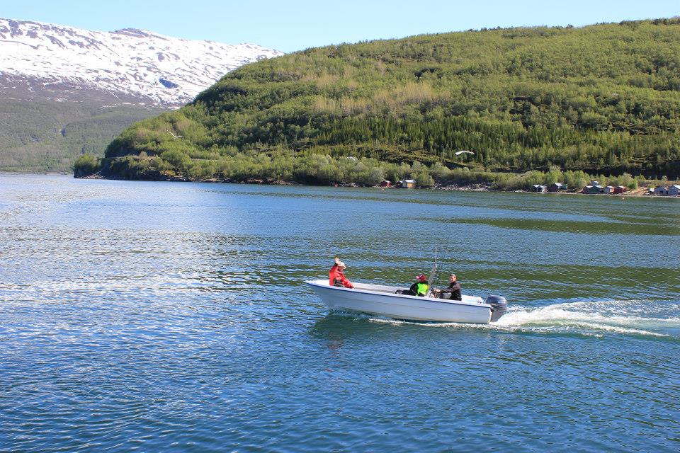 Silver Viking - Bilde 3